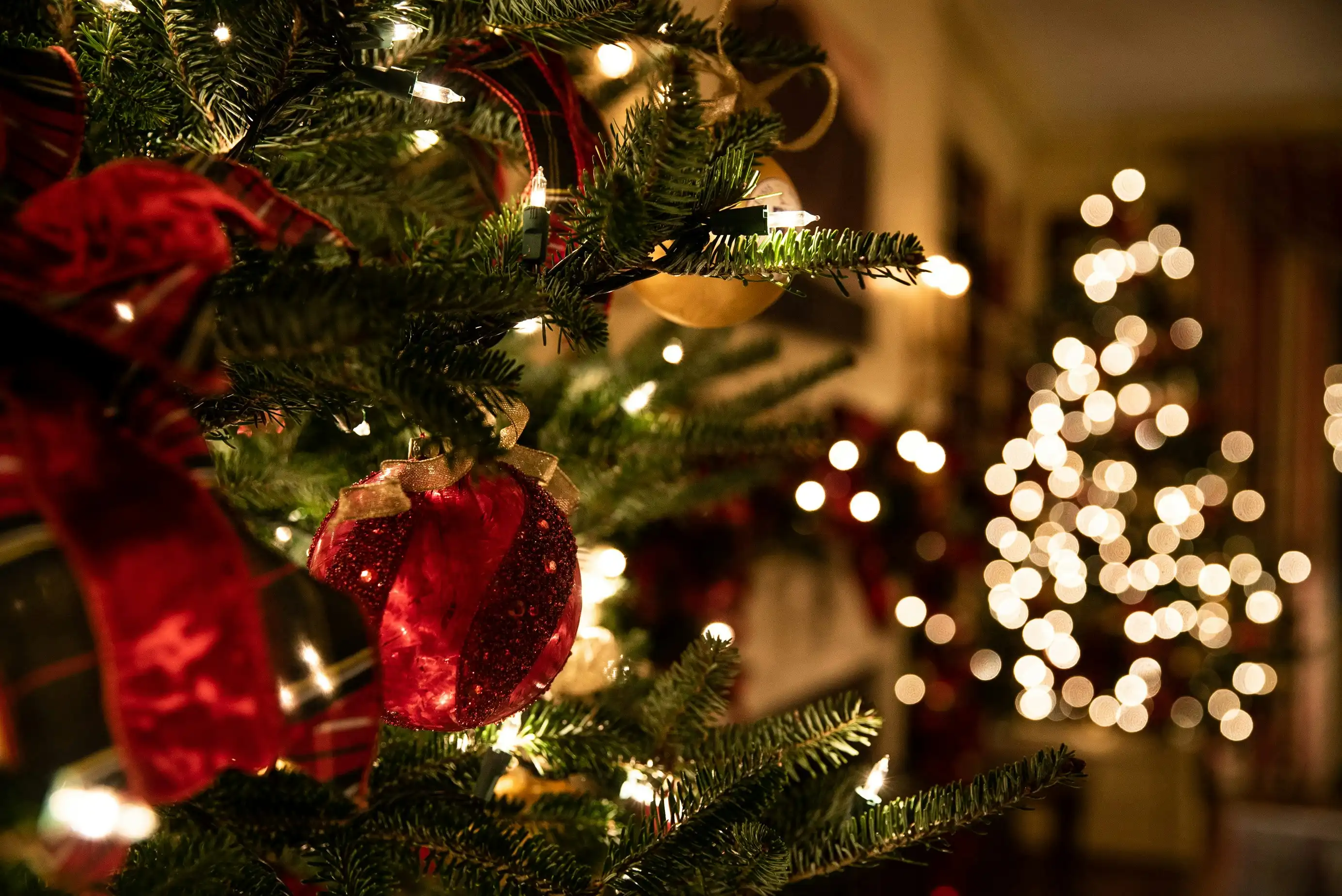 Festive Christmas party celebration